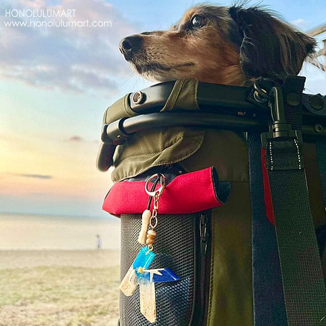 犬用バッグとイニシャルキーホルダーの写真22