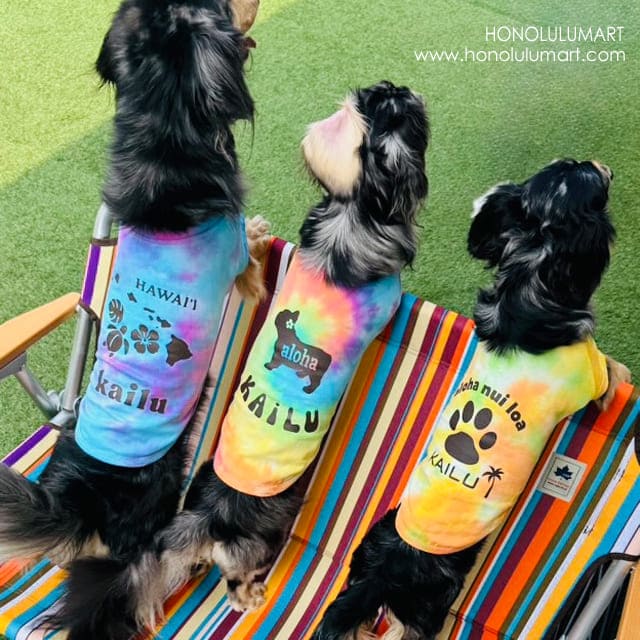 HHM-DGTTNM
